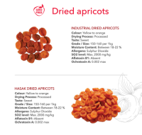 Dried Apricots from Uzbekistan