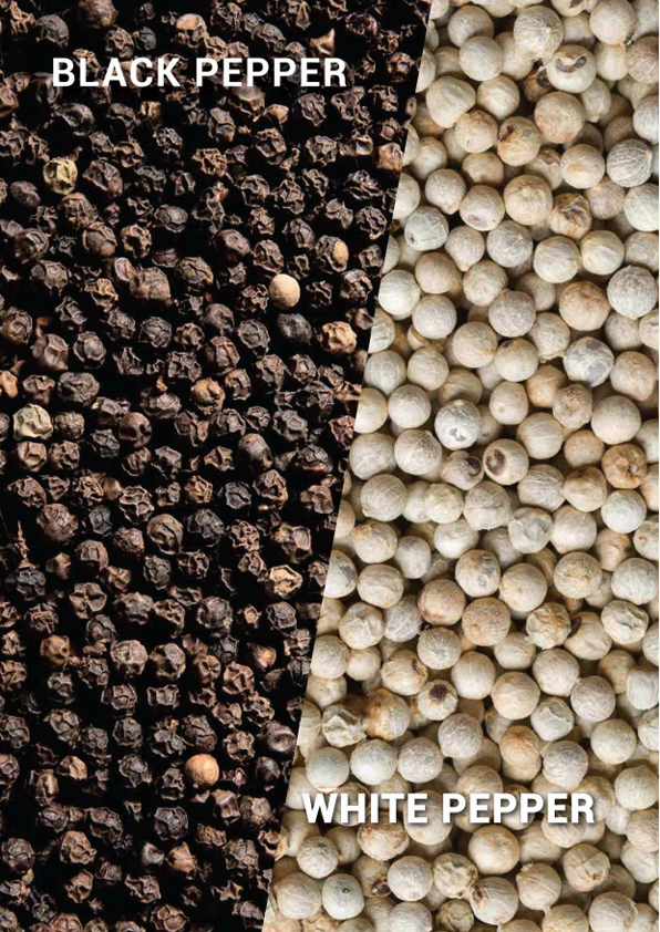 Wholesale Black & White Pepper
