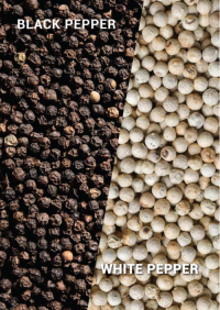 Wholesale Black & White Pepper