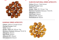 Dried Apricots from Uzbekistan