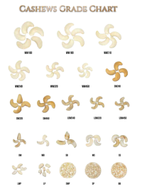 Premium Quality Cashew Nuts