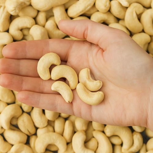 Premium Quality Cashew Nuts