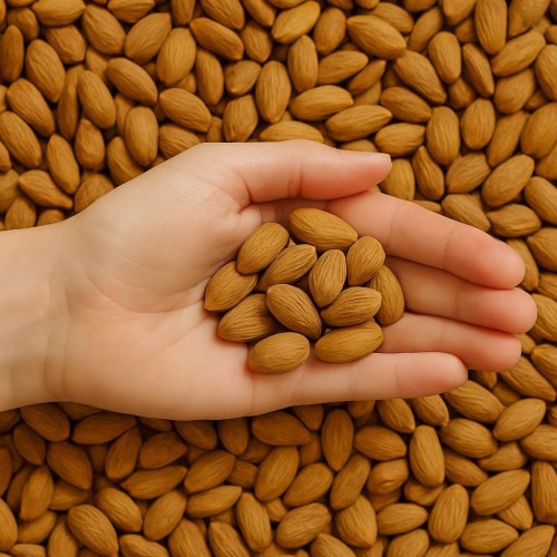 Wholesale Almonds